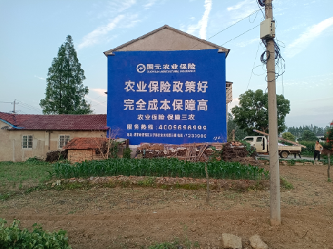 射洪墙体广告为何受追捧？